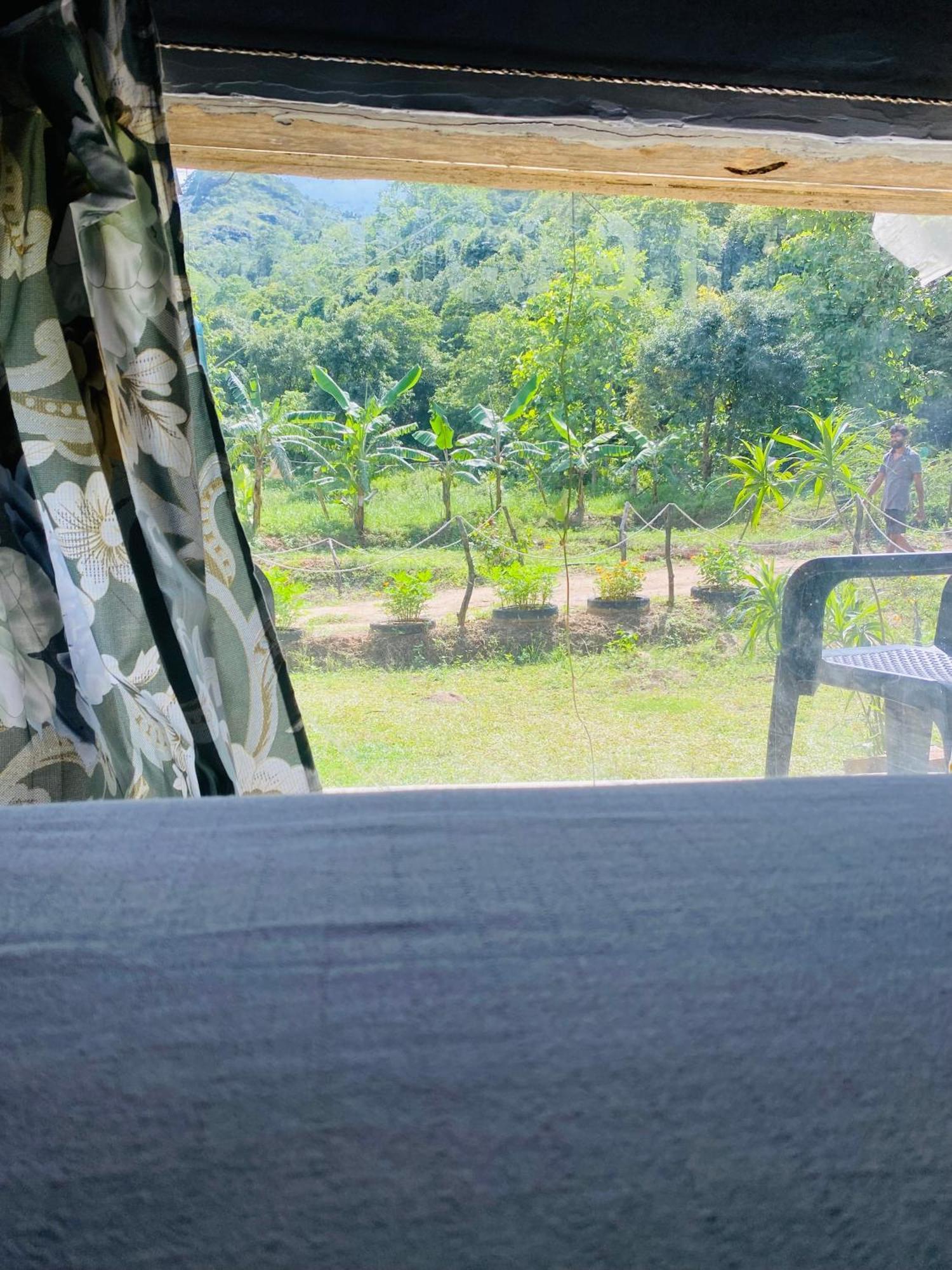 The Forest Edge Resort Dambulla Exteriér fotografie