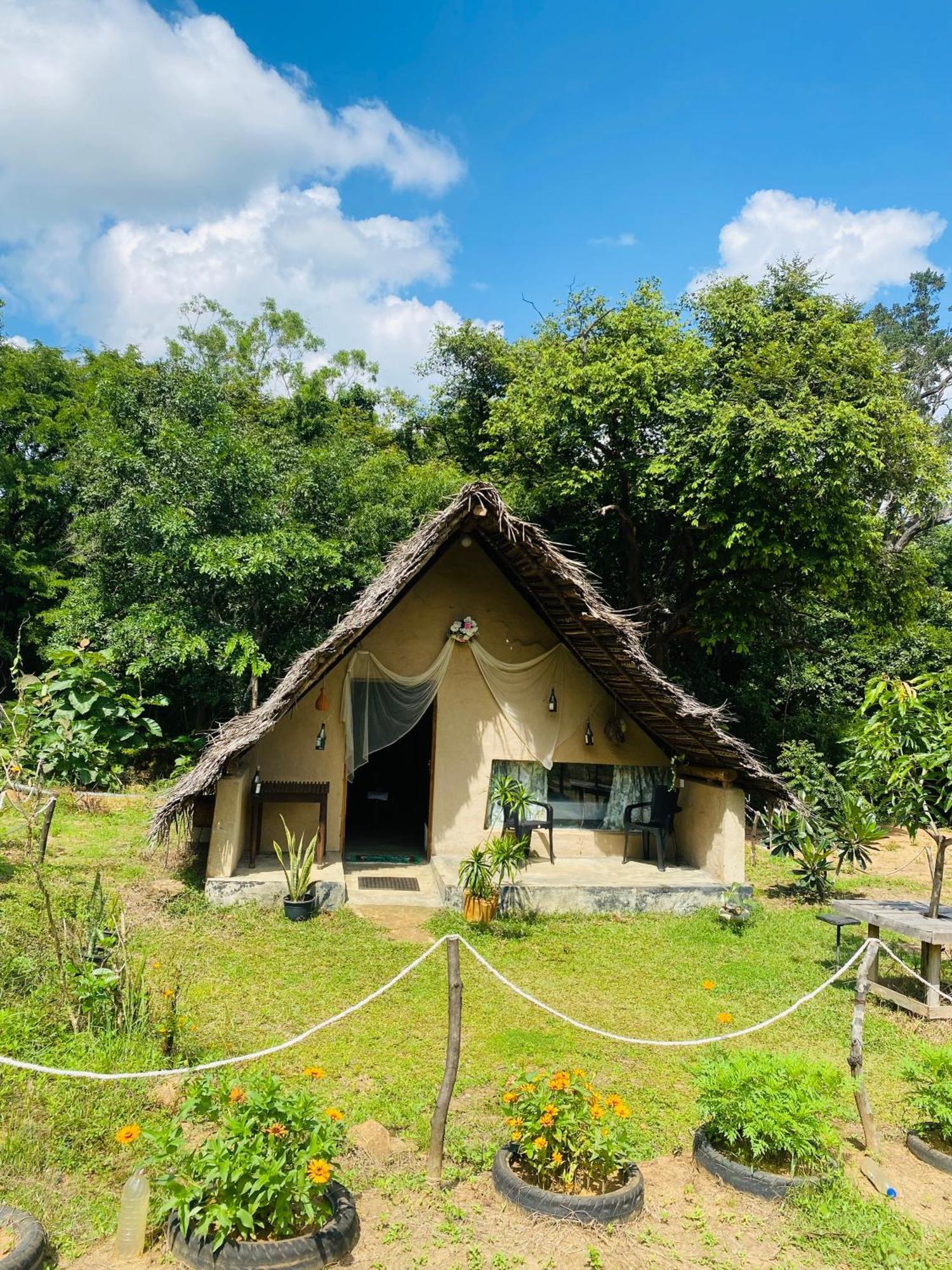 The Forest Edge Resort Dambulla Exteriér fotografie
