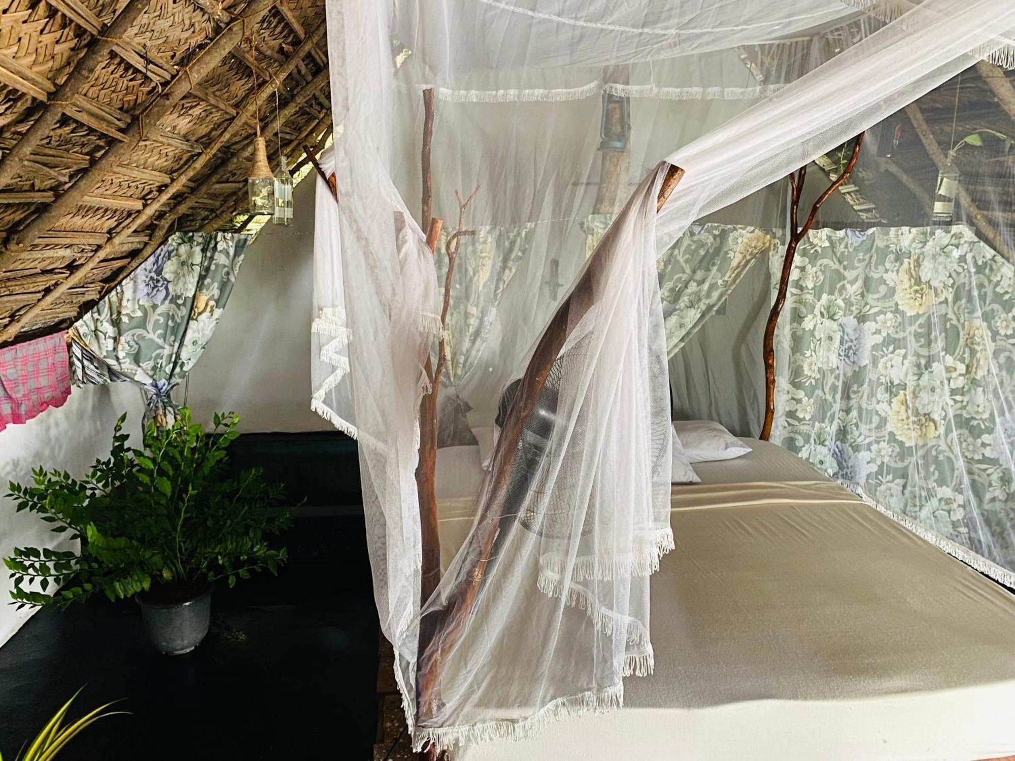 The Forest Edge Resort Dambulla Exteriér fotografie