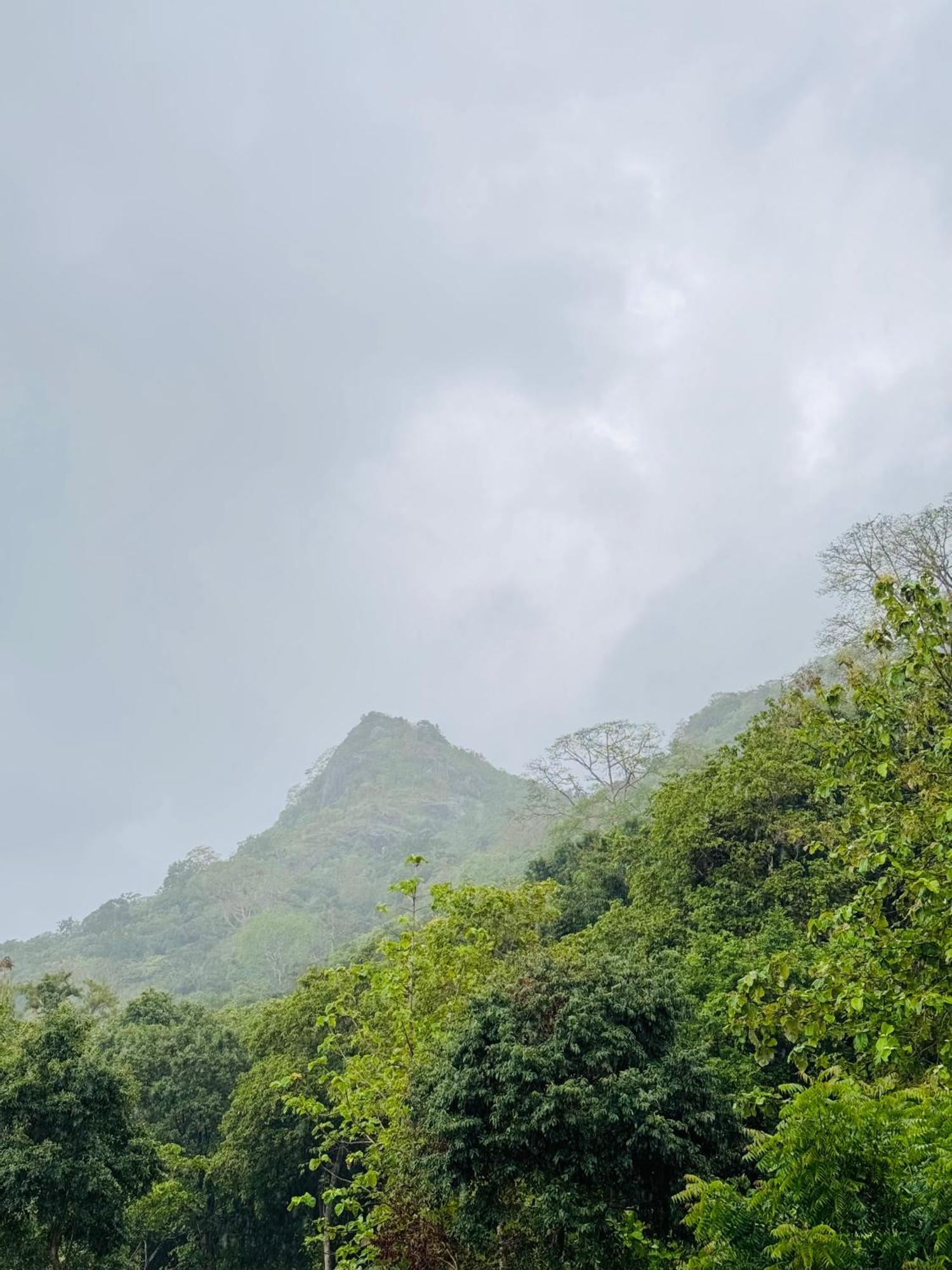 The Forest Edge Resort Dambulla Exteriér fotografie
